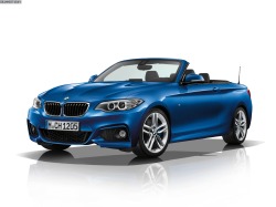 2 Ser (F23) Cabriolet ot 2014
